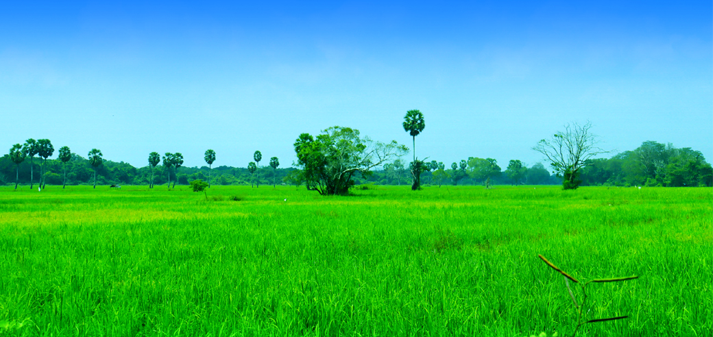 Puthoor Temple Entrance (2) Puthoor Temple Entrance (2)